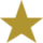 Hatlie-Group_sm-gold-star_solid